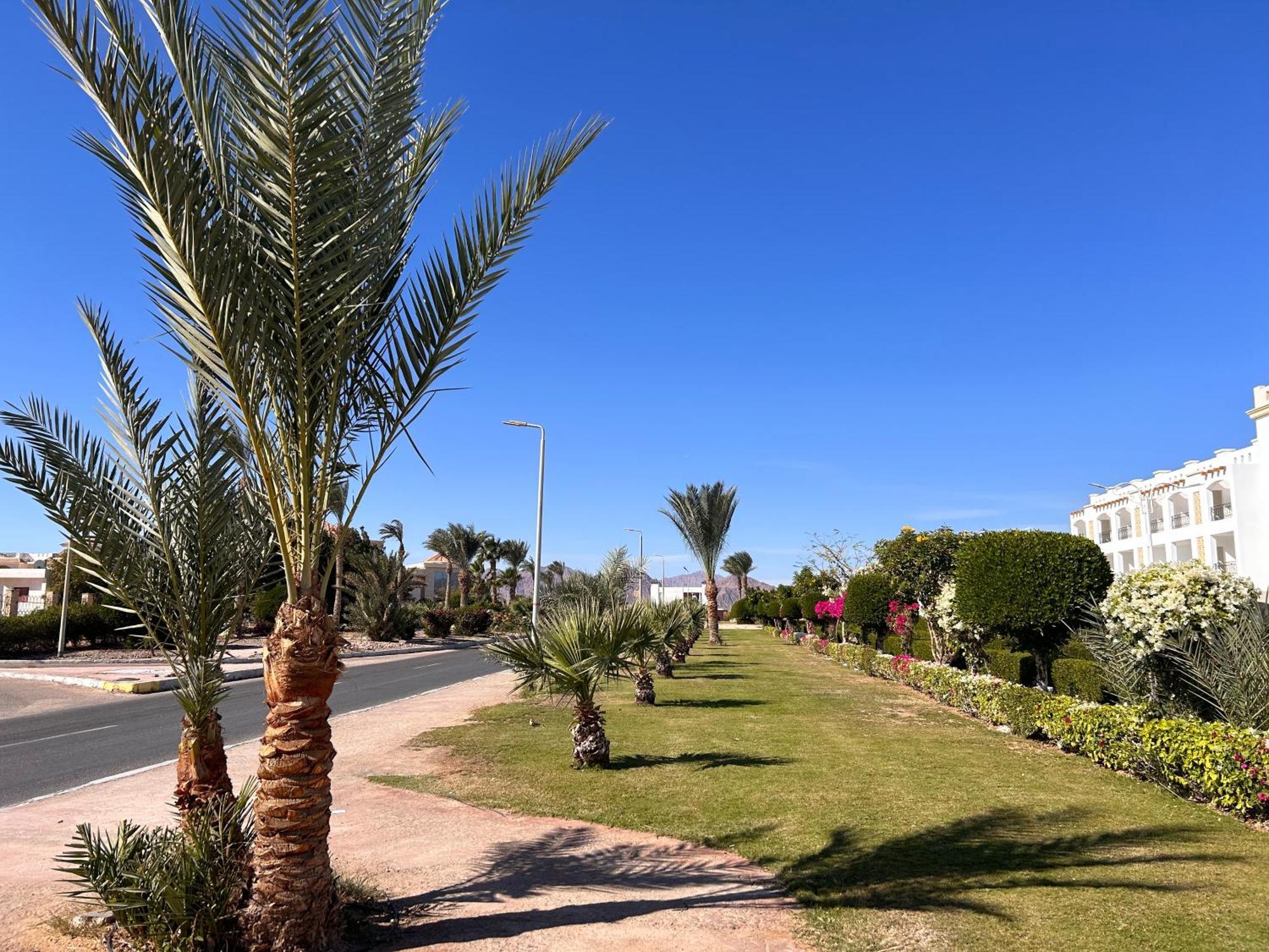 Cosy Studio On The First Floor With Lovely Terrace And Personal Garden Area, Pool View And Free Beach Access In Sharm Hills Resort ภายนอก รูปภาพ